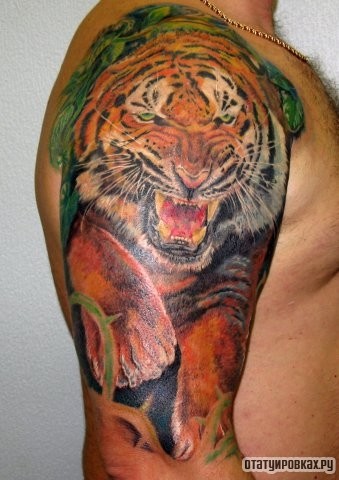 Фотография татуировки под названием «Большой тигр»