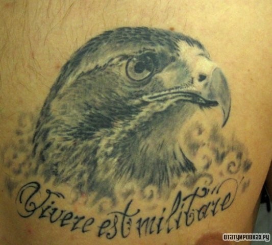 Фотография татуировки под названием «Сокол и надпись»