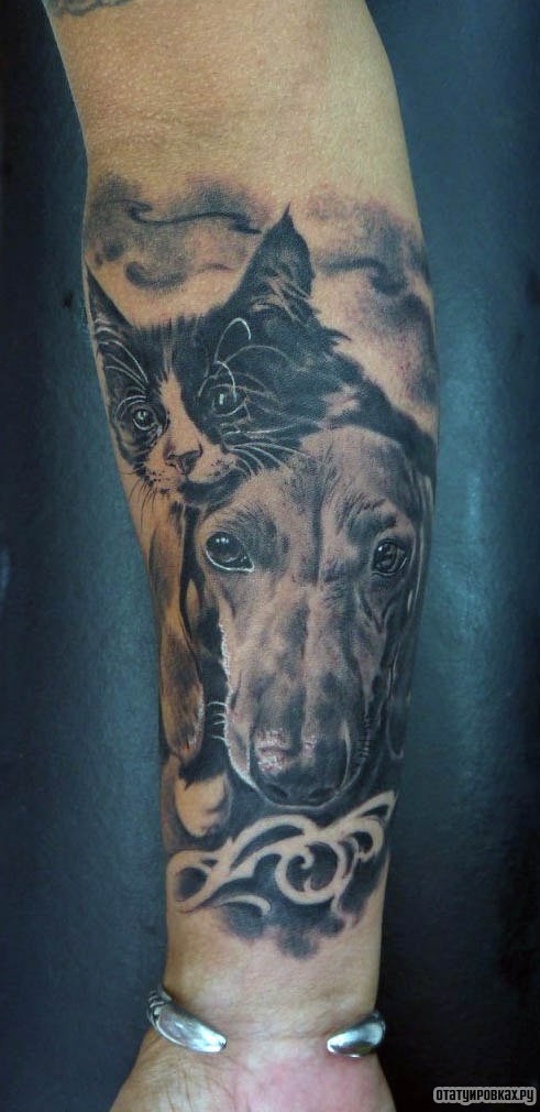 Фотография татуировки под названием «Кот и собака»
