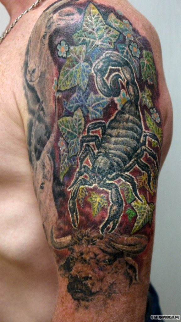 Фотография татуировки под названием «Скорпион в листьях»