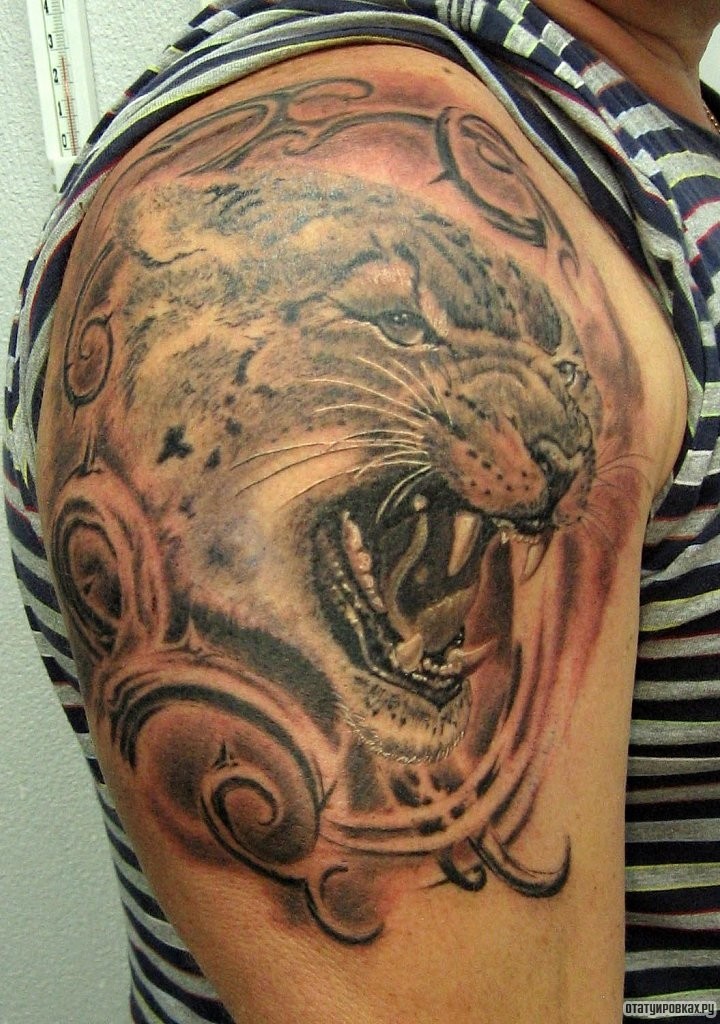 Фотография татуировки под названием «Тигр в трайбл узоре»