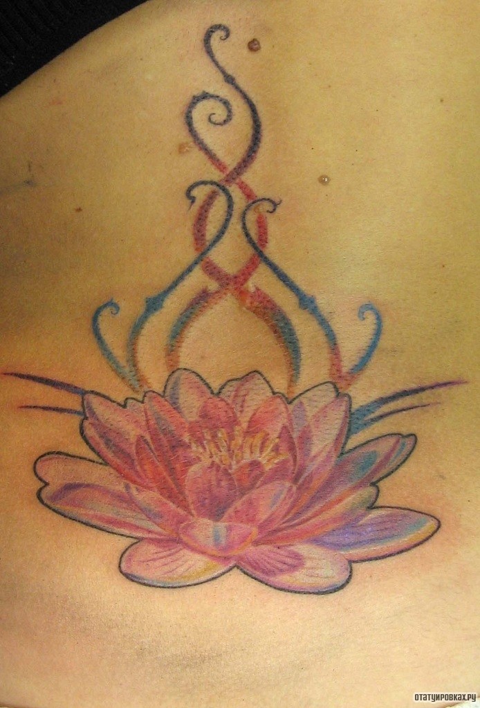 Фотография татуировки под названием «Лотос и узор»
