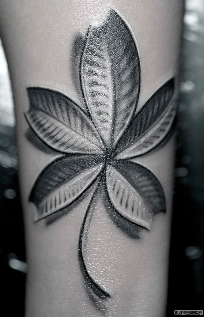 Фотография татуировки под названием «Листок дерева»