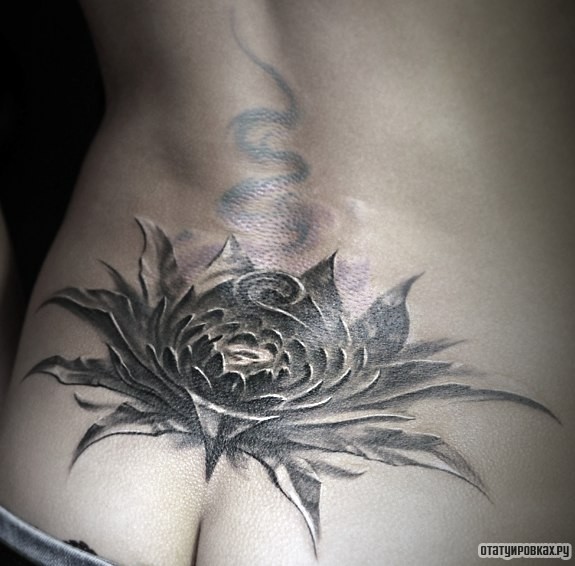 Фотография татуировки под названием «Лотом на пояснице»