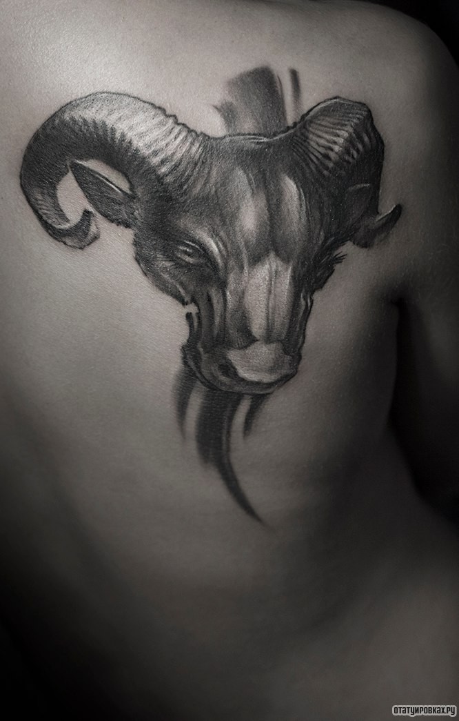 Фотография татуировки под названием «Голова барана»