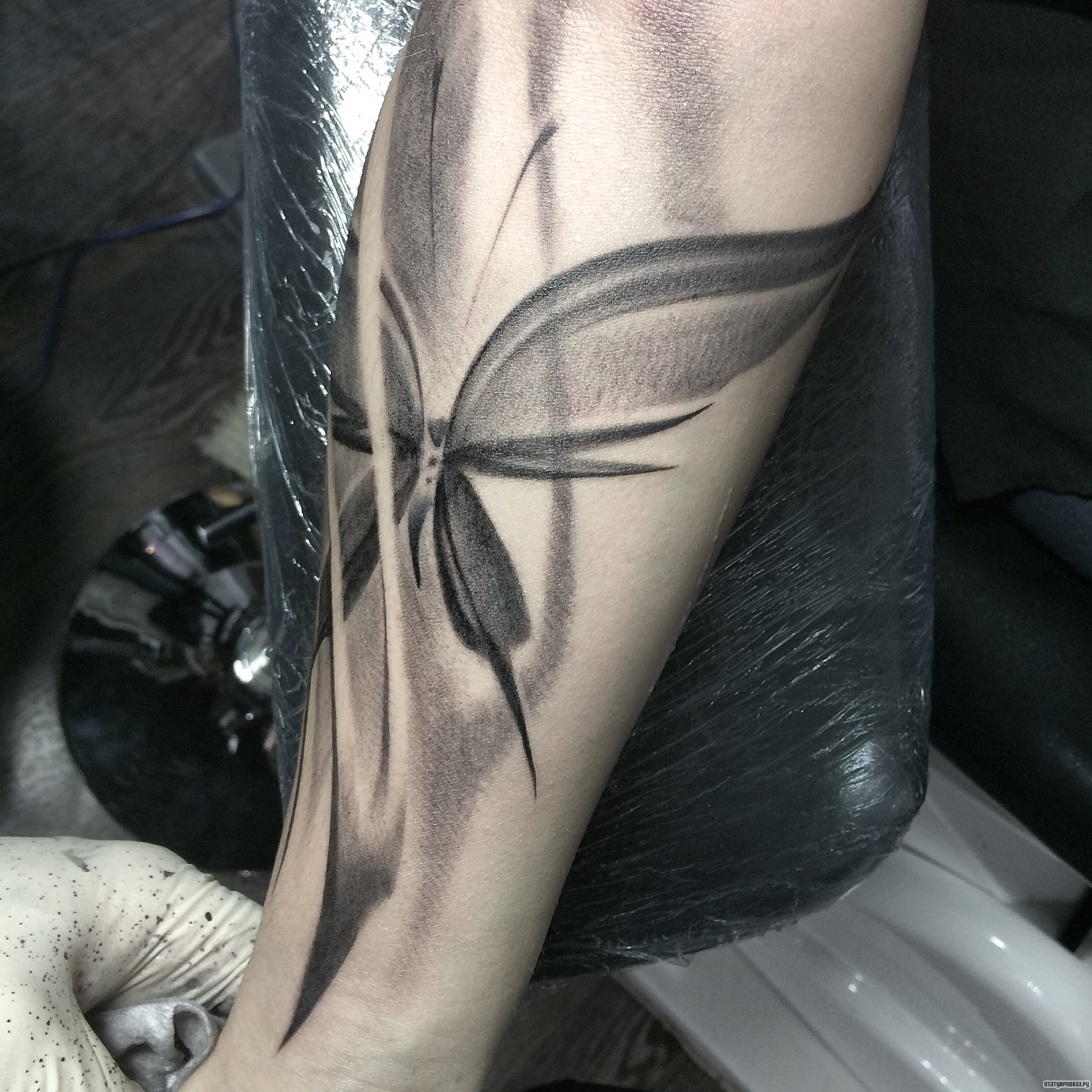 Фотография татуировки под названием «Бабочка с тенями»