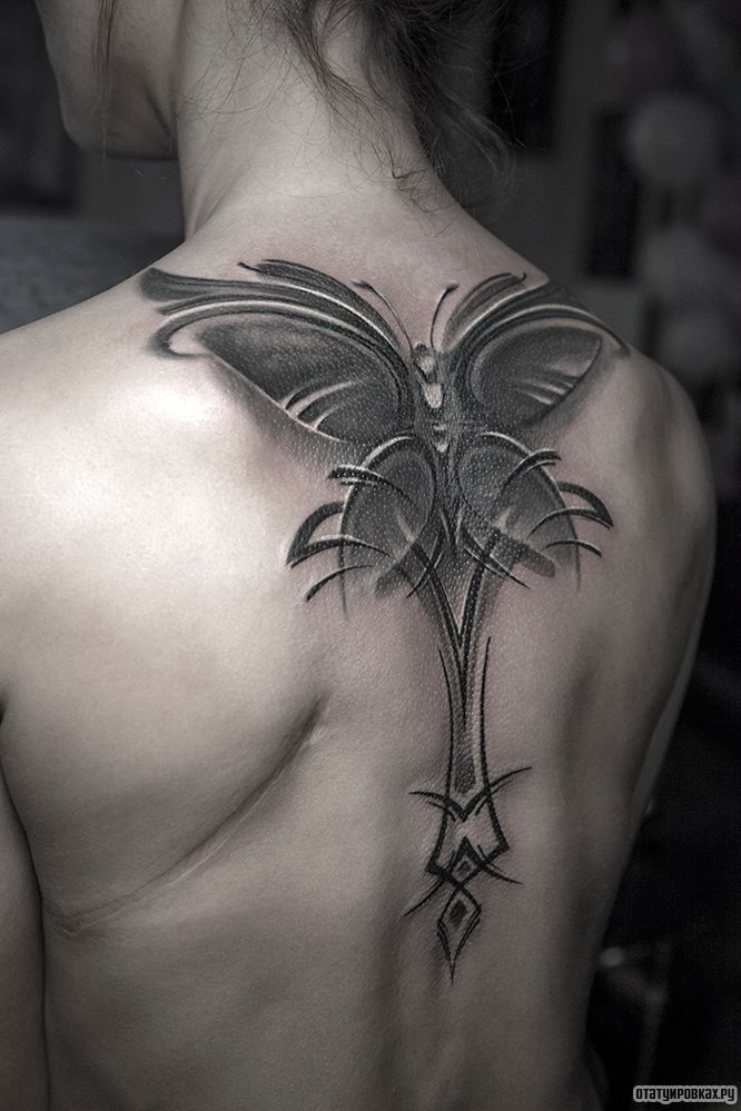 Фотография татуировки под названием «Бабочка и узор»