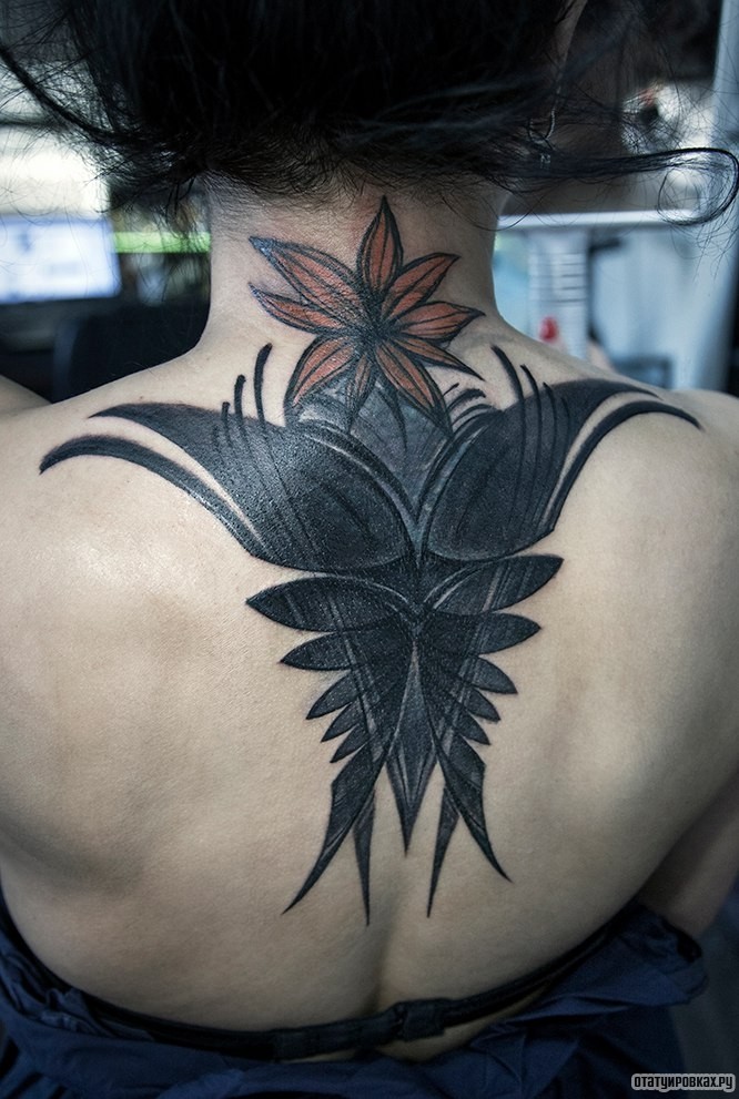 Фотография татуировки под названием «Бабочка и цветок»