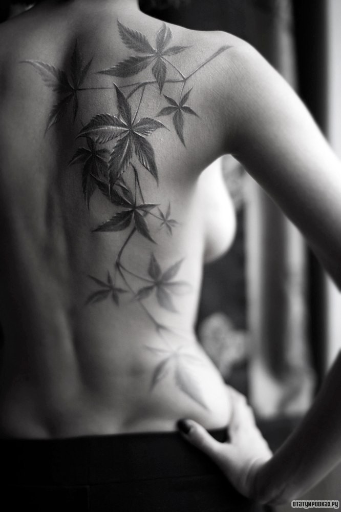 Фотография татуировки под названием «Листья»