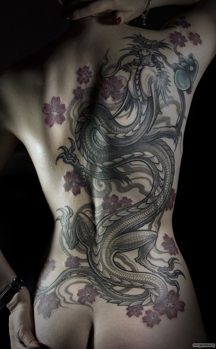 Фотография татуировки под названием «Дракон с цветами сакуры»