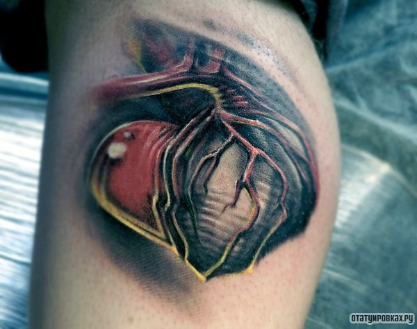 Фотография татуировки под названием «Сердце с венами»