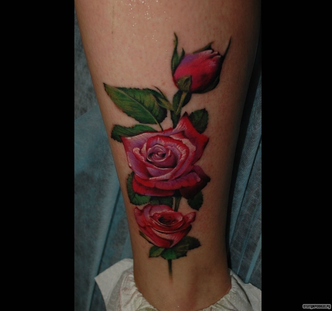 Фотография татуировки под названием «Три розы на ветке»