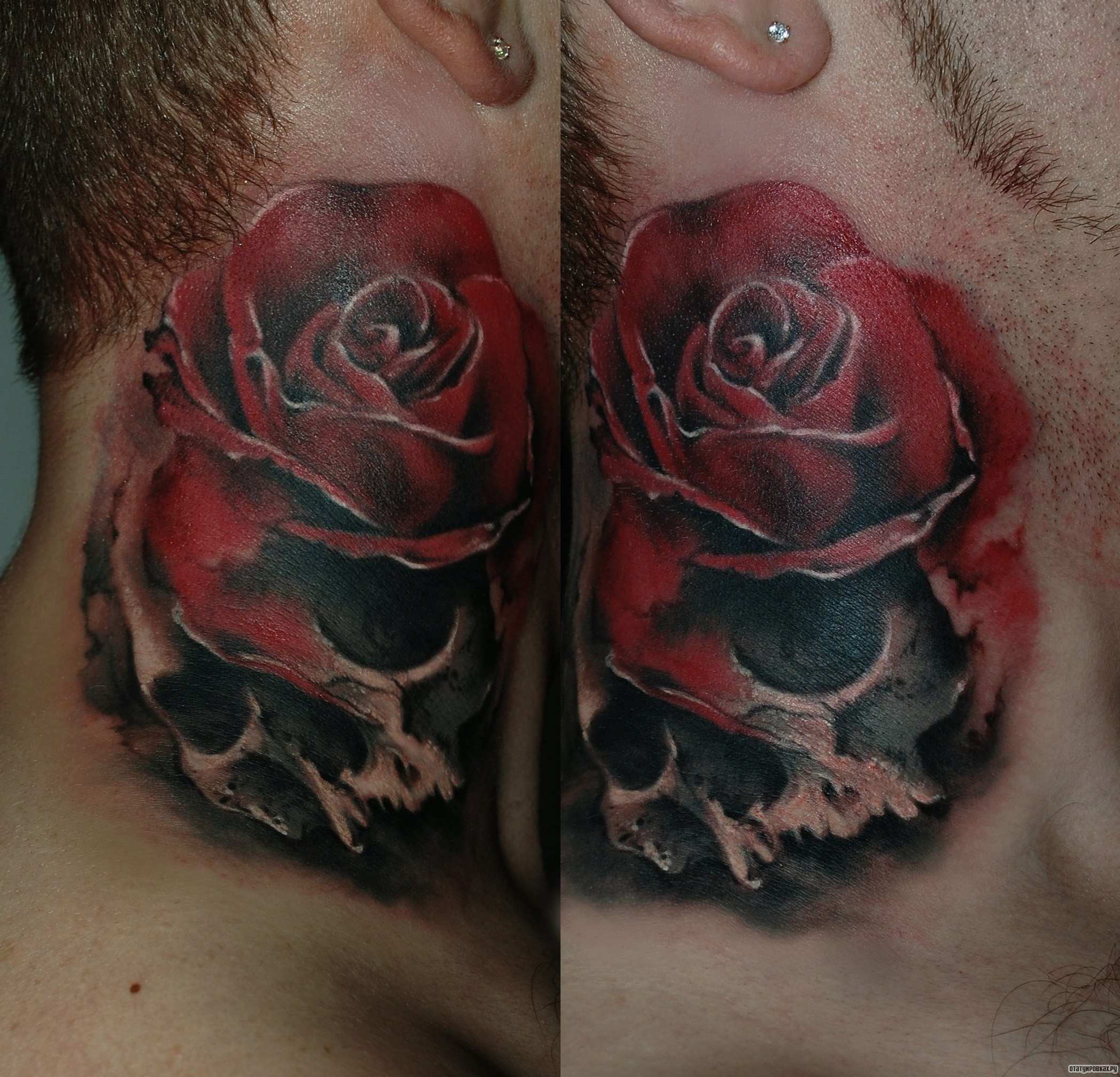 Фотография татуировки под названием «Роза и череп»