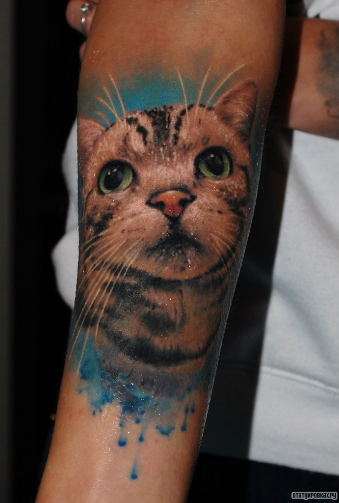 Фотография татуировки под названием «Котенок  на синем фоне»