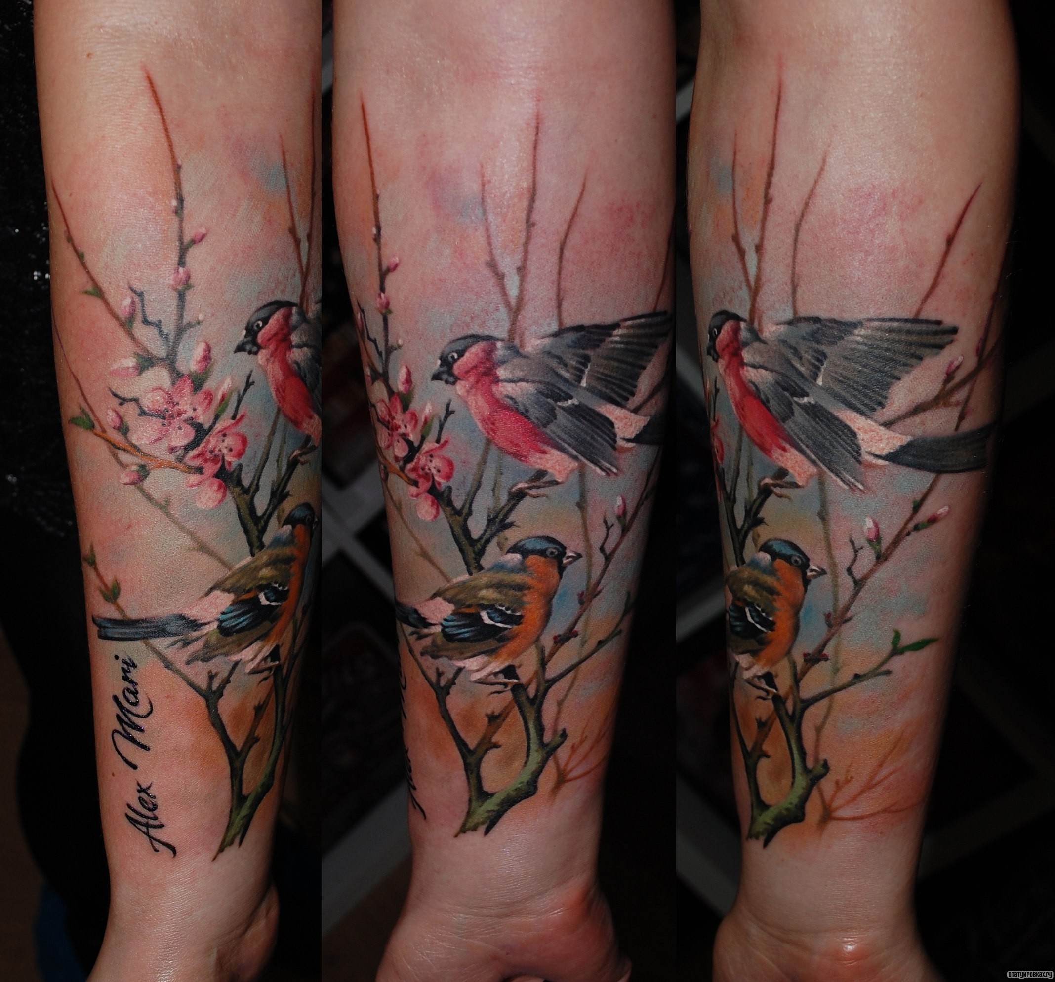 Фотография татуировки под названием «Птички на ветках сакуры»