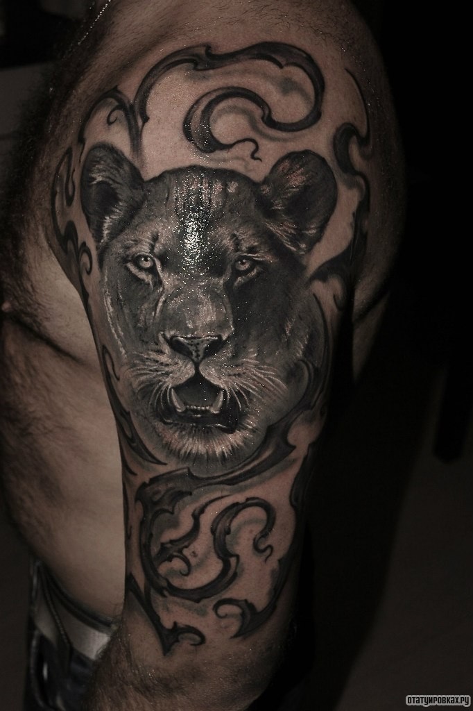 Фотография татуировки под названием «Львица и узор»