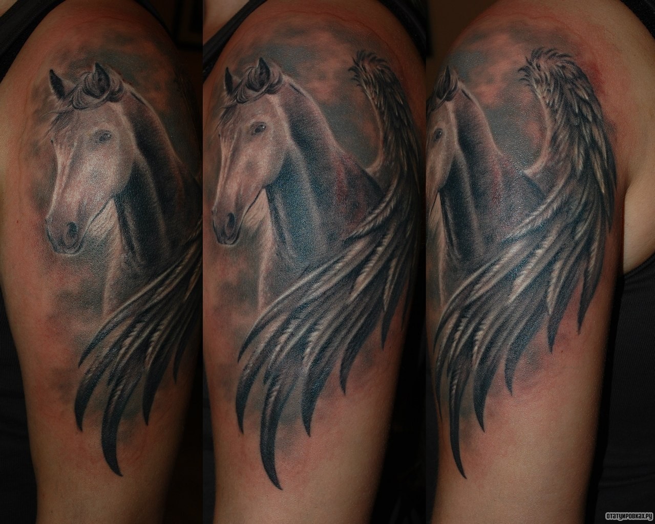 Фотография татуировки под названием «Пегас, конь с крыльями»