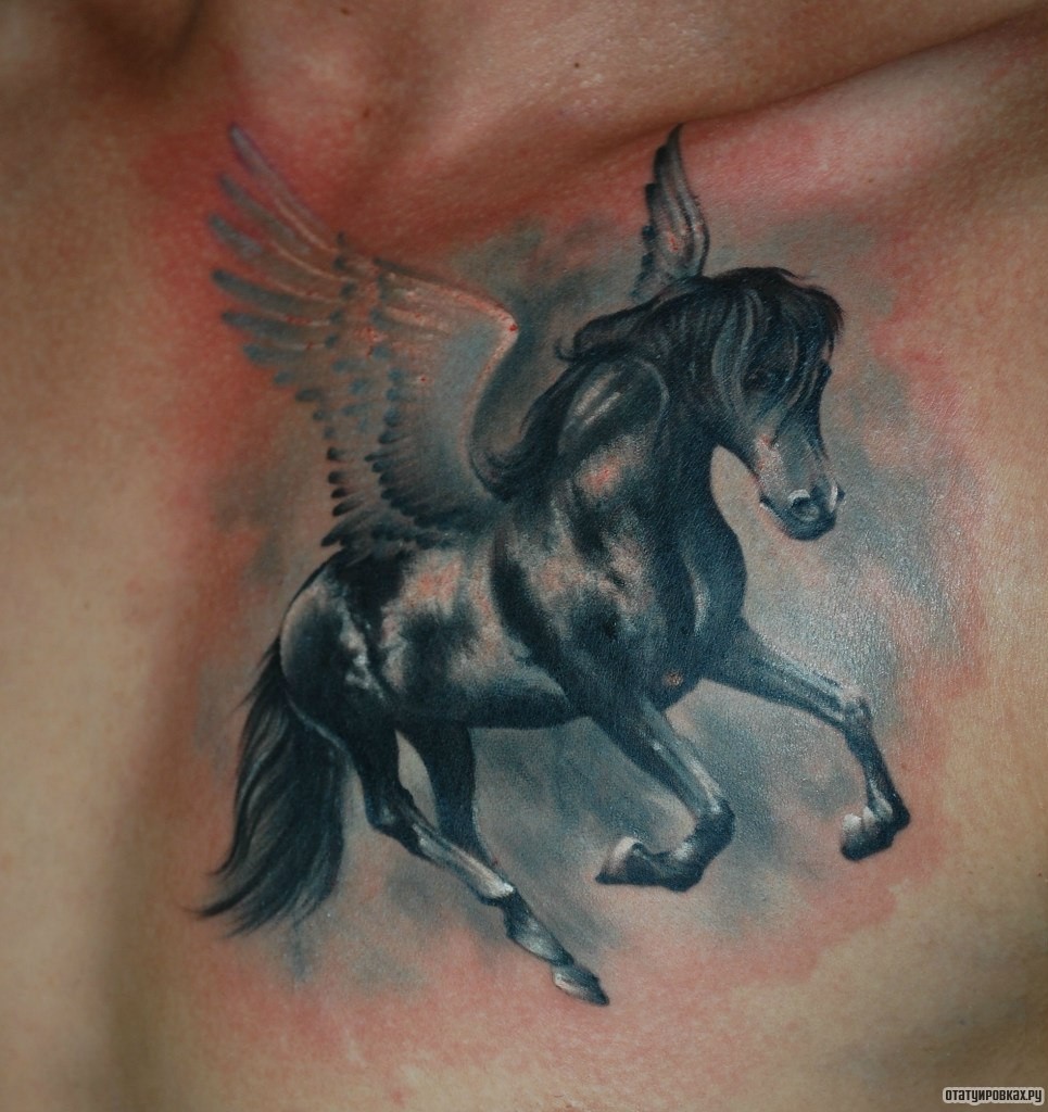 Фотография татуировки под названием «Пегас»
