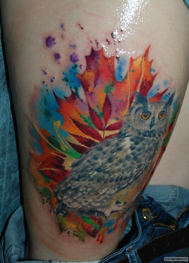 Фотография татуировки под названием «Сова на фоне кленового листа»