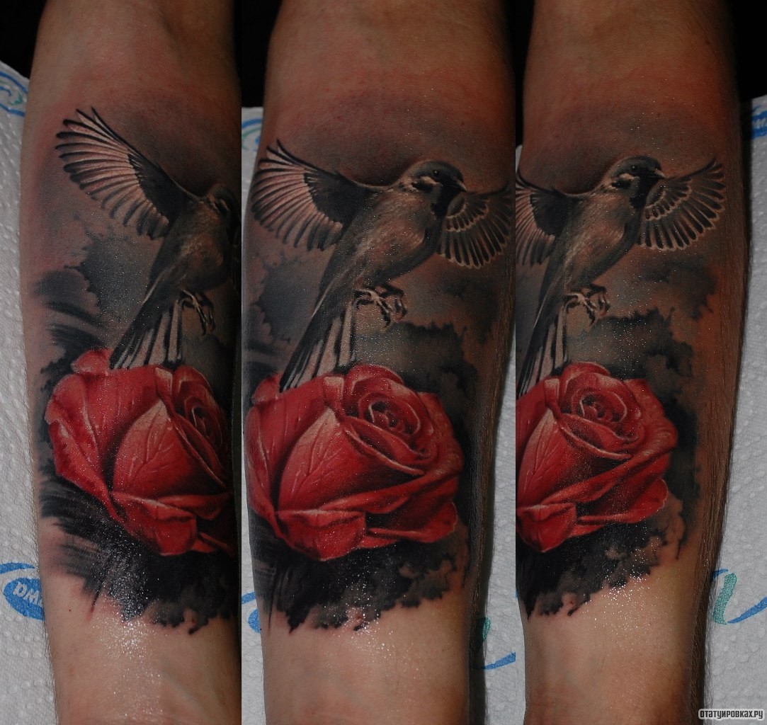 Фотография татуировки под названием «Колибри у розы»