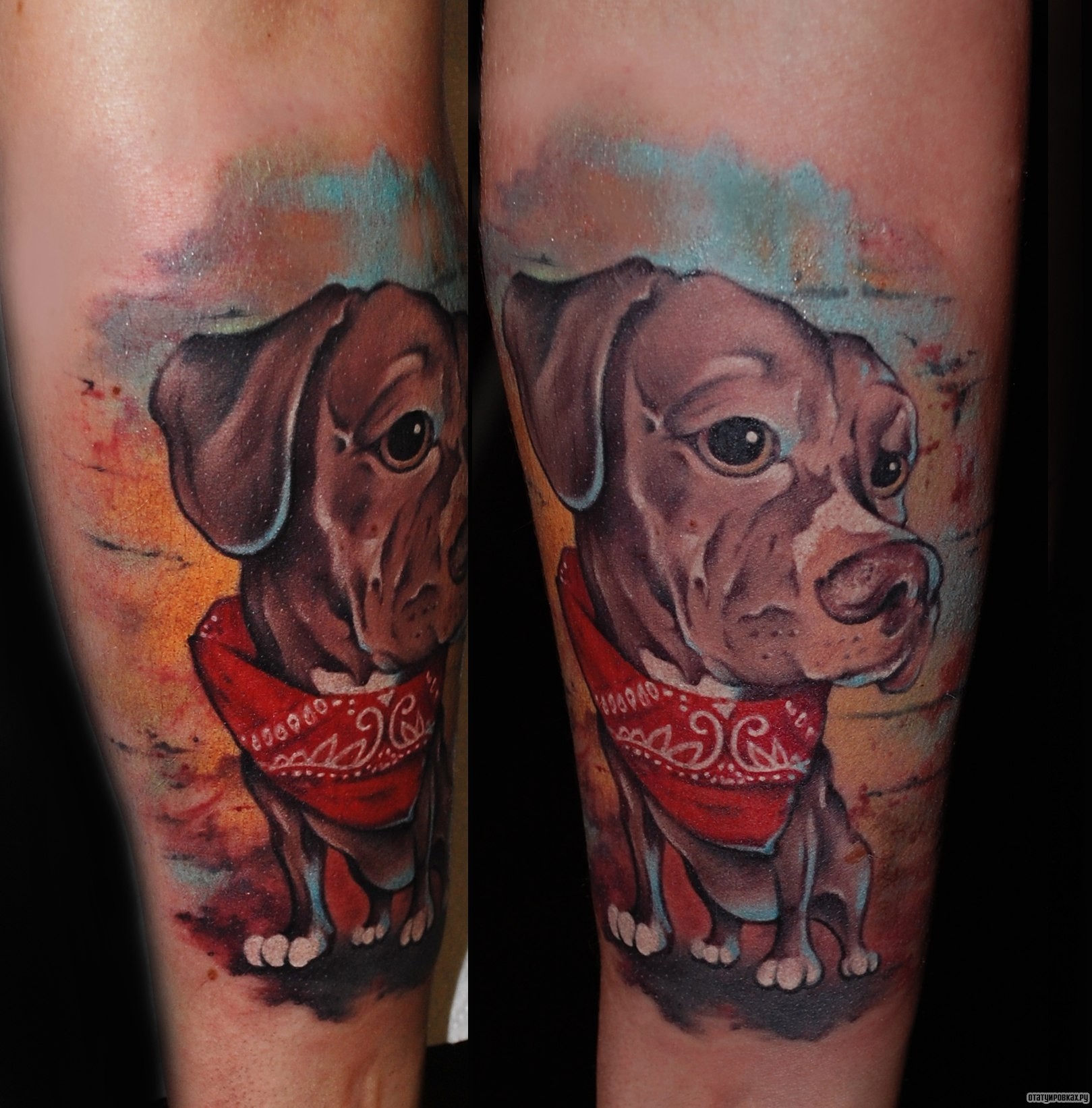 Фотография татуировки под названием «Собака с красной повязкой»