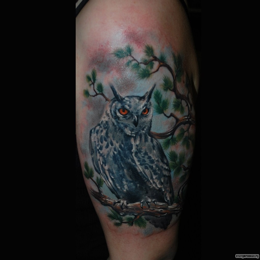 Фотография татуировки под названием «Сова на дереве»