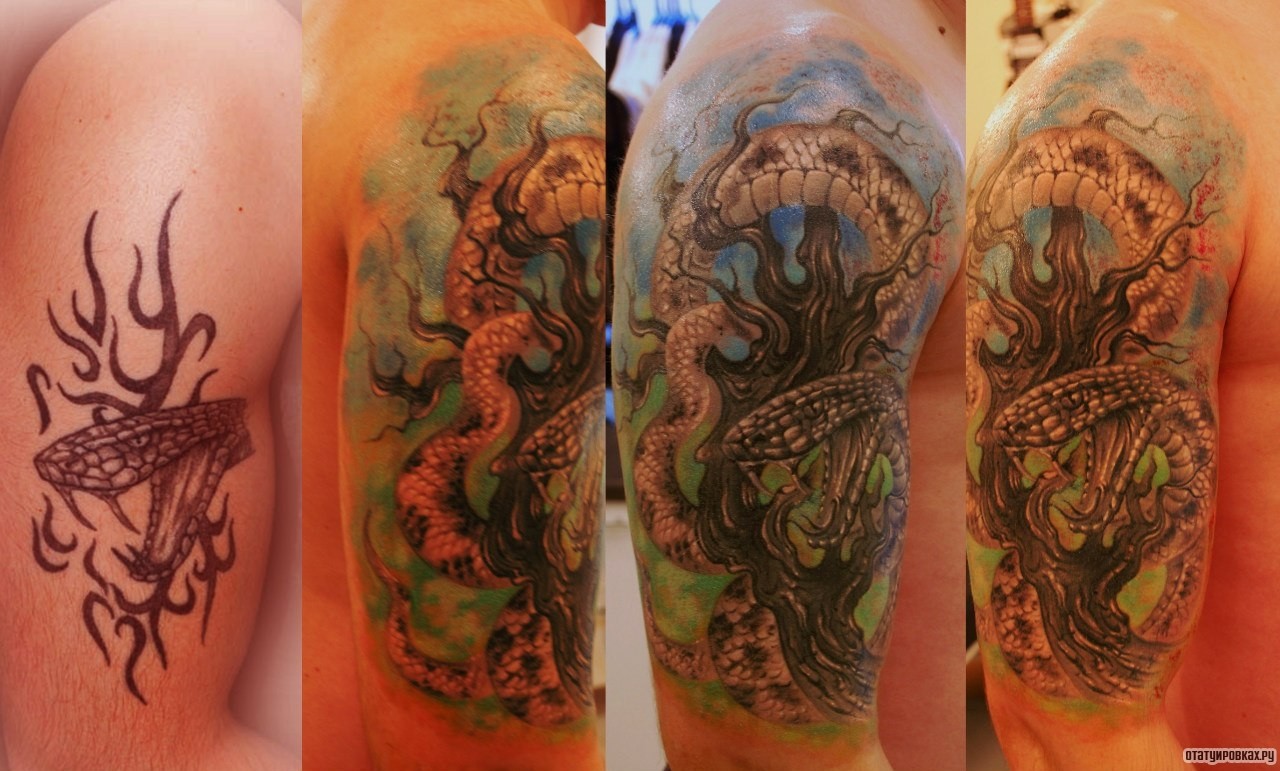 Фотография татуировки под названием «Змея вокруг дерева»