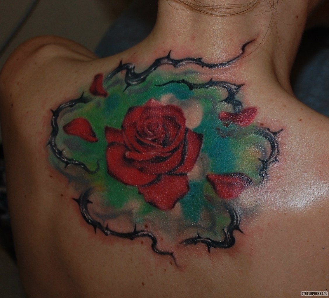 Фотография татуировки под названием «Роза с колючками»