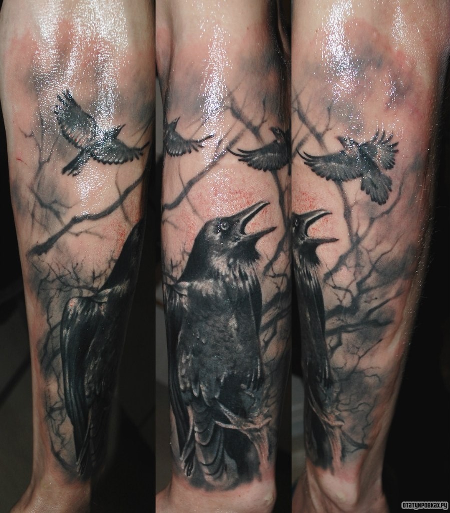 Фотография татуировки под названием «Вороны»