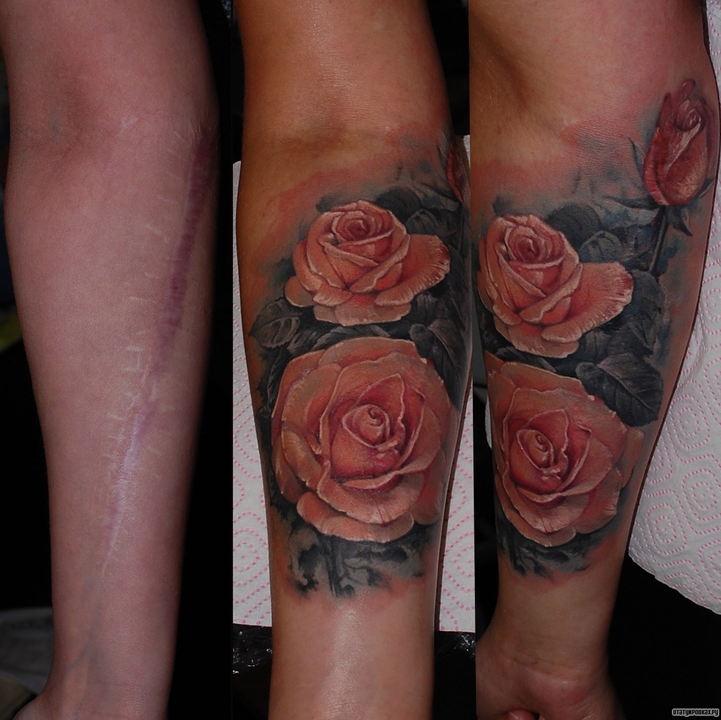 Фотография татуировки под названием «Три розовые розы»