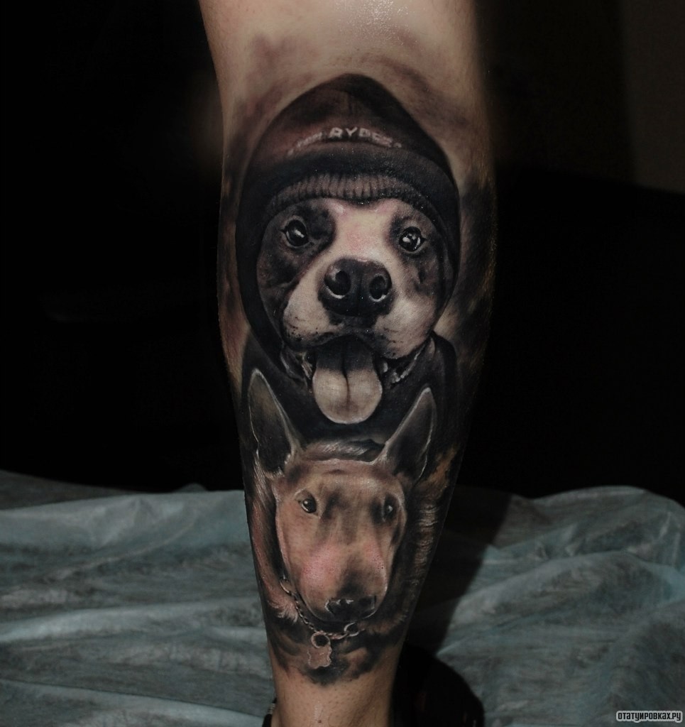 Фотография татуировки под названием «Две собаки»