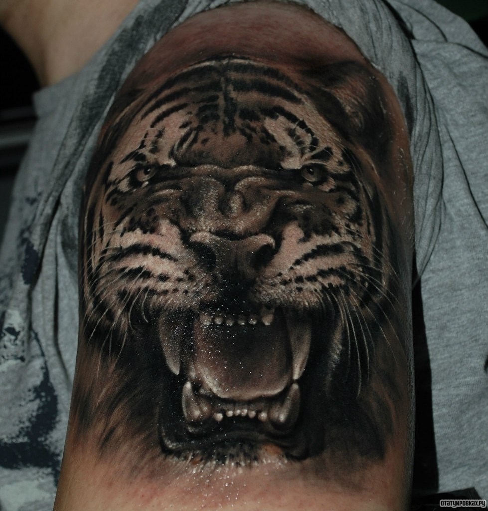 Фотография татуировки под названием «Тигр с открытой пастью»