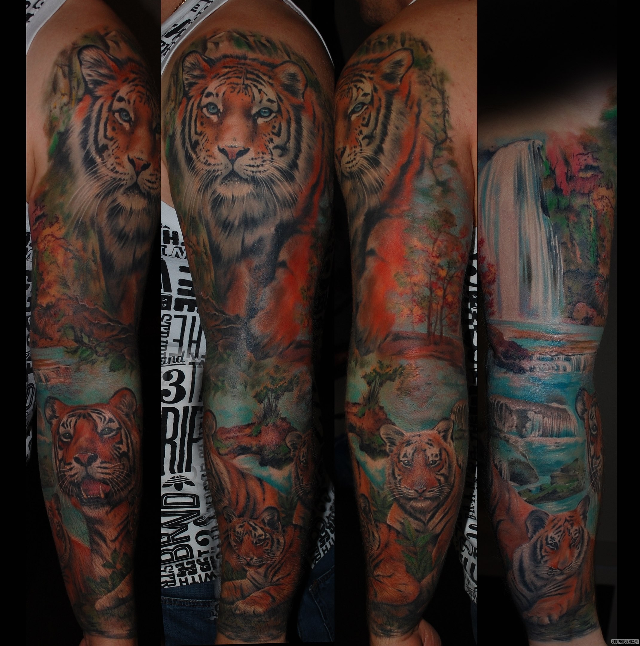 Фотография татуировки под названием «Тигры»