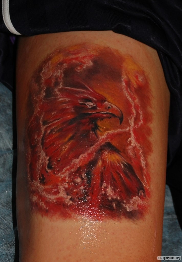 Фотография татуировки под названием «Жар птица в огне»