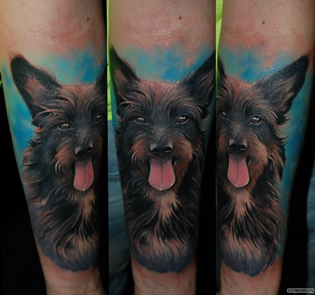 Фотография татуировки под названием «Собака с высунутым языком»