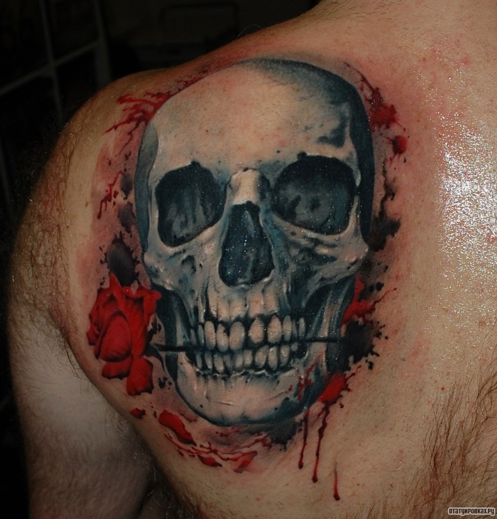 Фотография татуировки под названием «Вереп с розой в зубах»