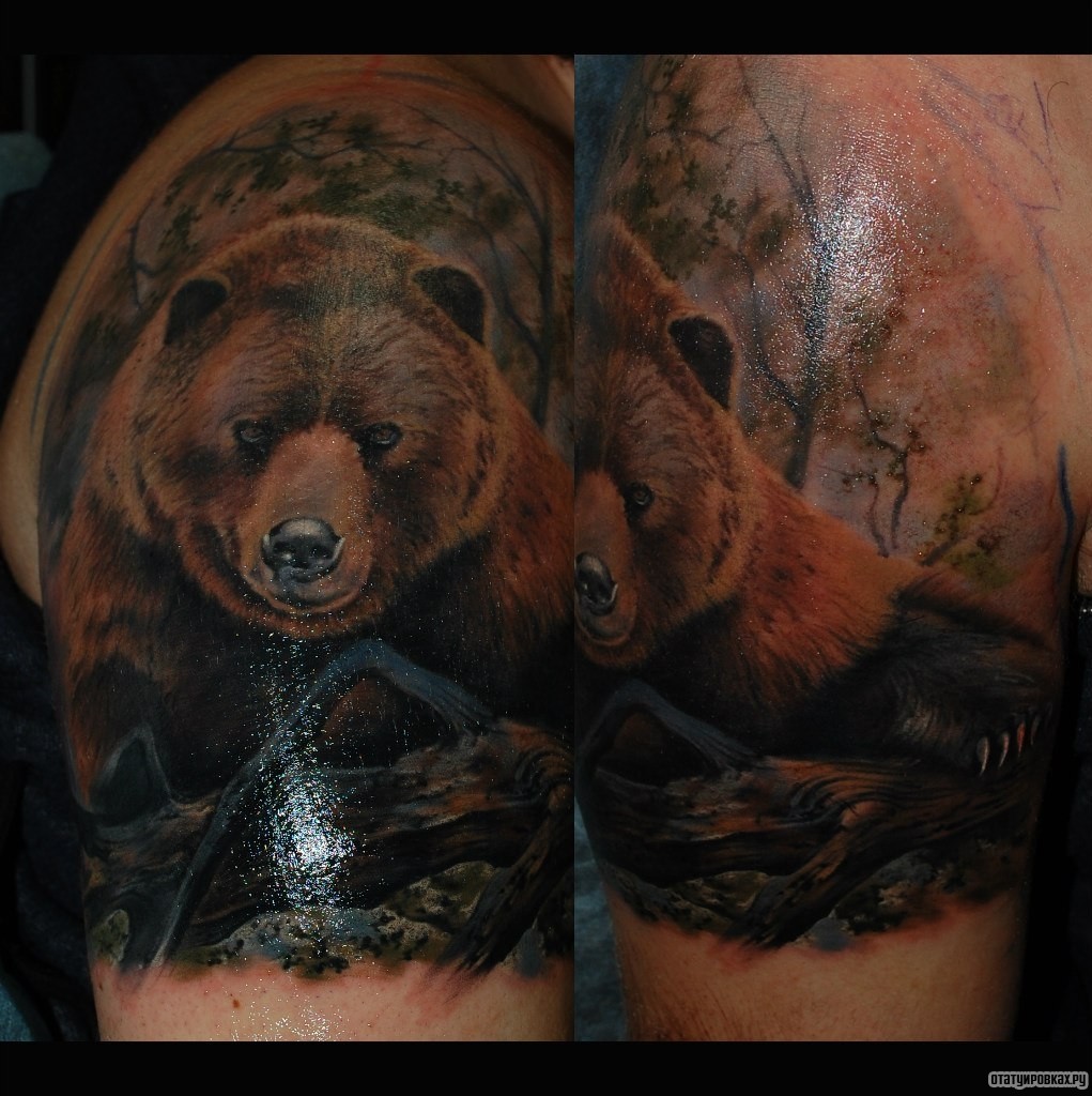 Фотография татуировки под названием «Бурый медведь»
