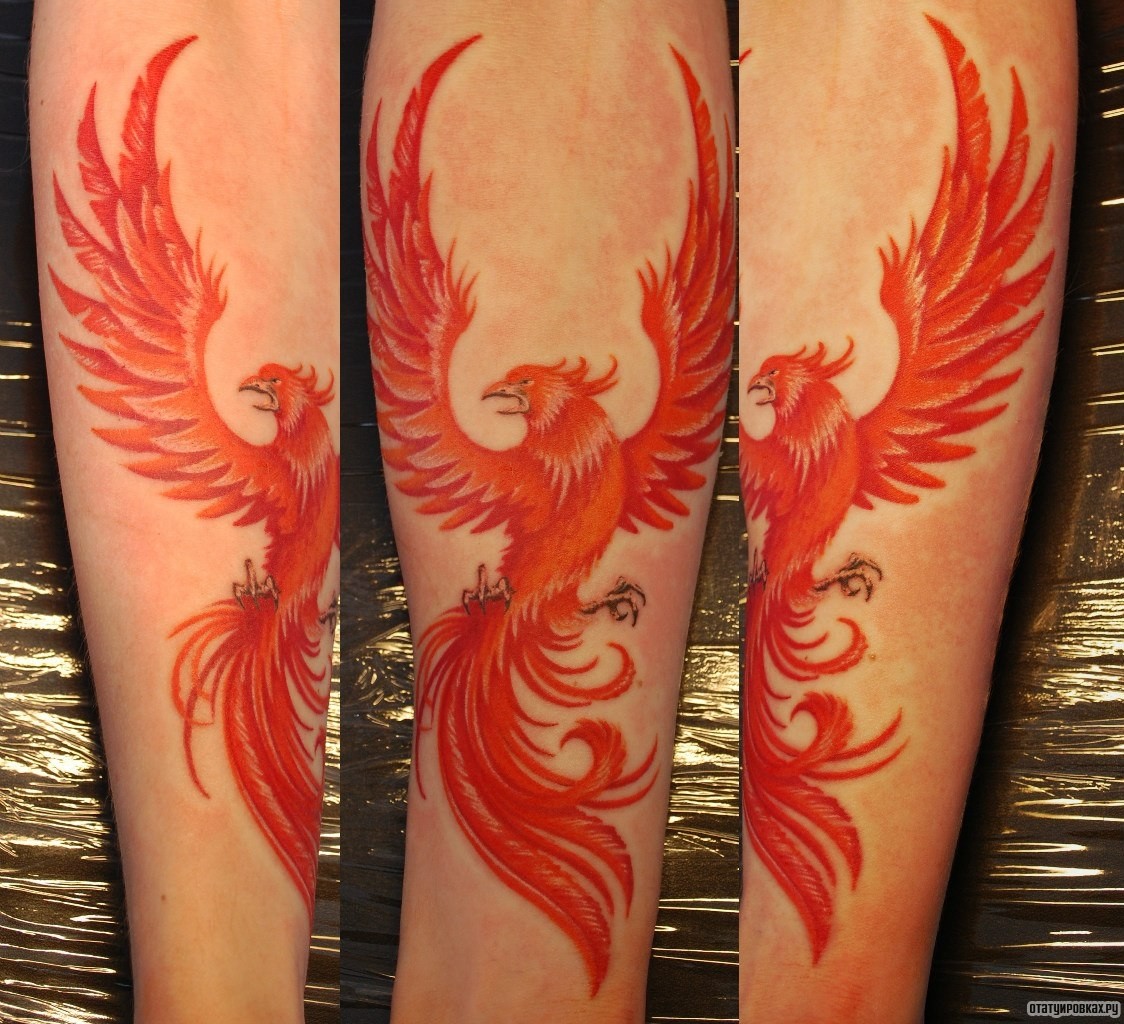 Фотография татуировки под названием «Жар птица»