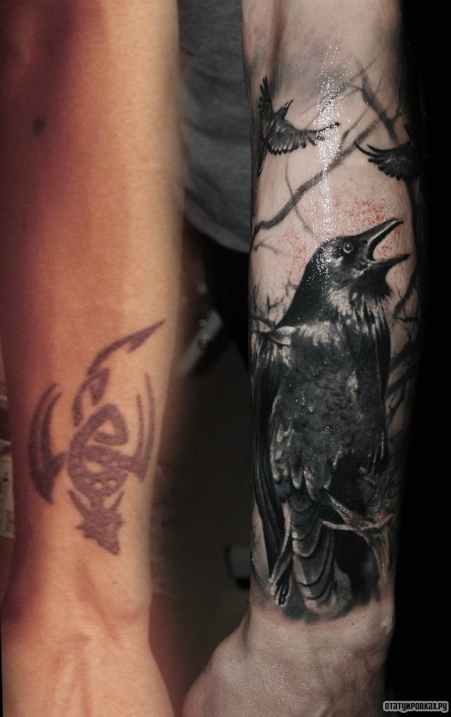 Фотография татуировки под названием «Ворон»