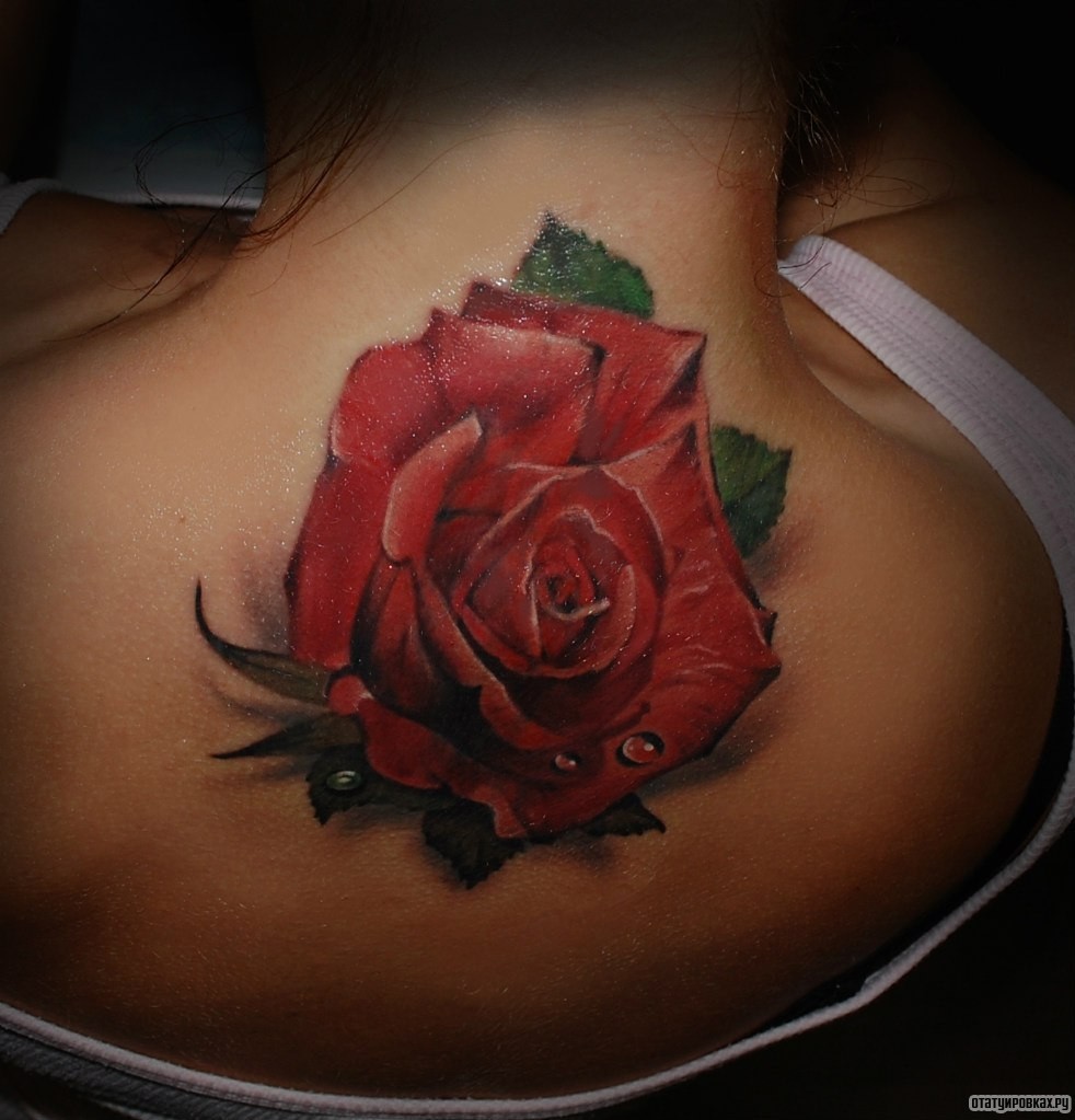 Фотография татуировки под названием «Большая красивая роза»