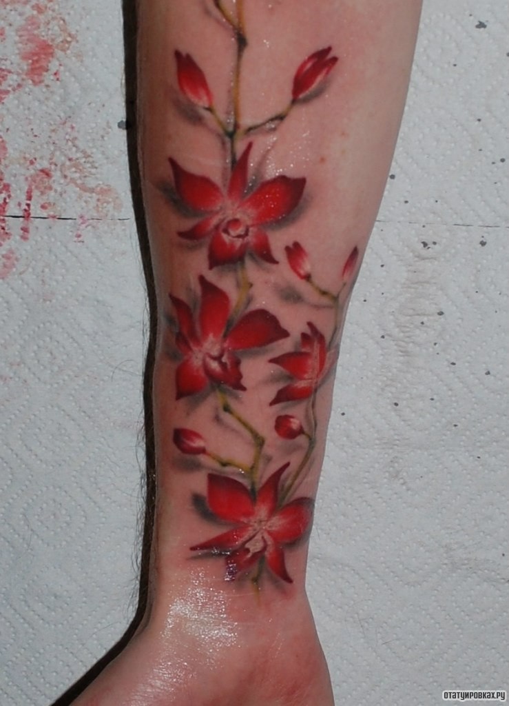 Фотография татуировки под названием «Красные цветы»
