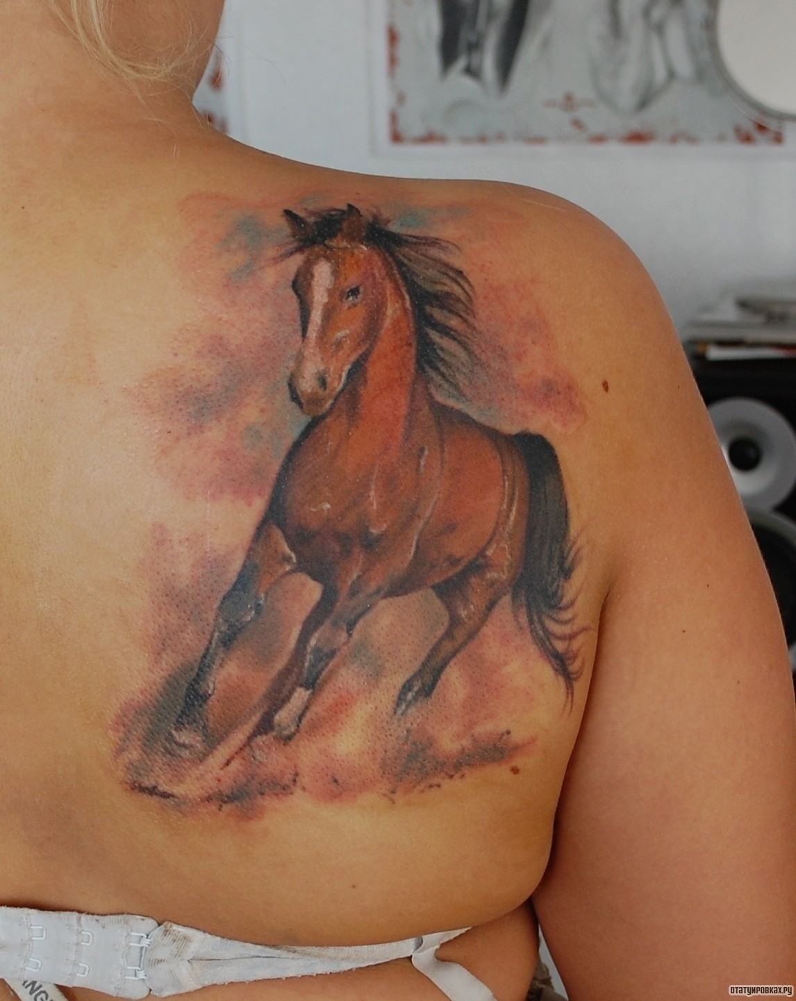 Фотография татуировки под названием «Лошадь в поле»