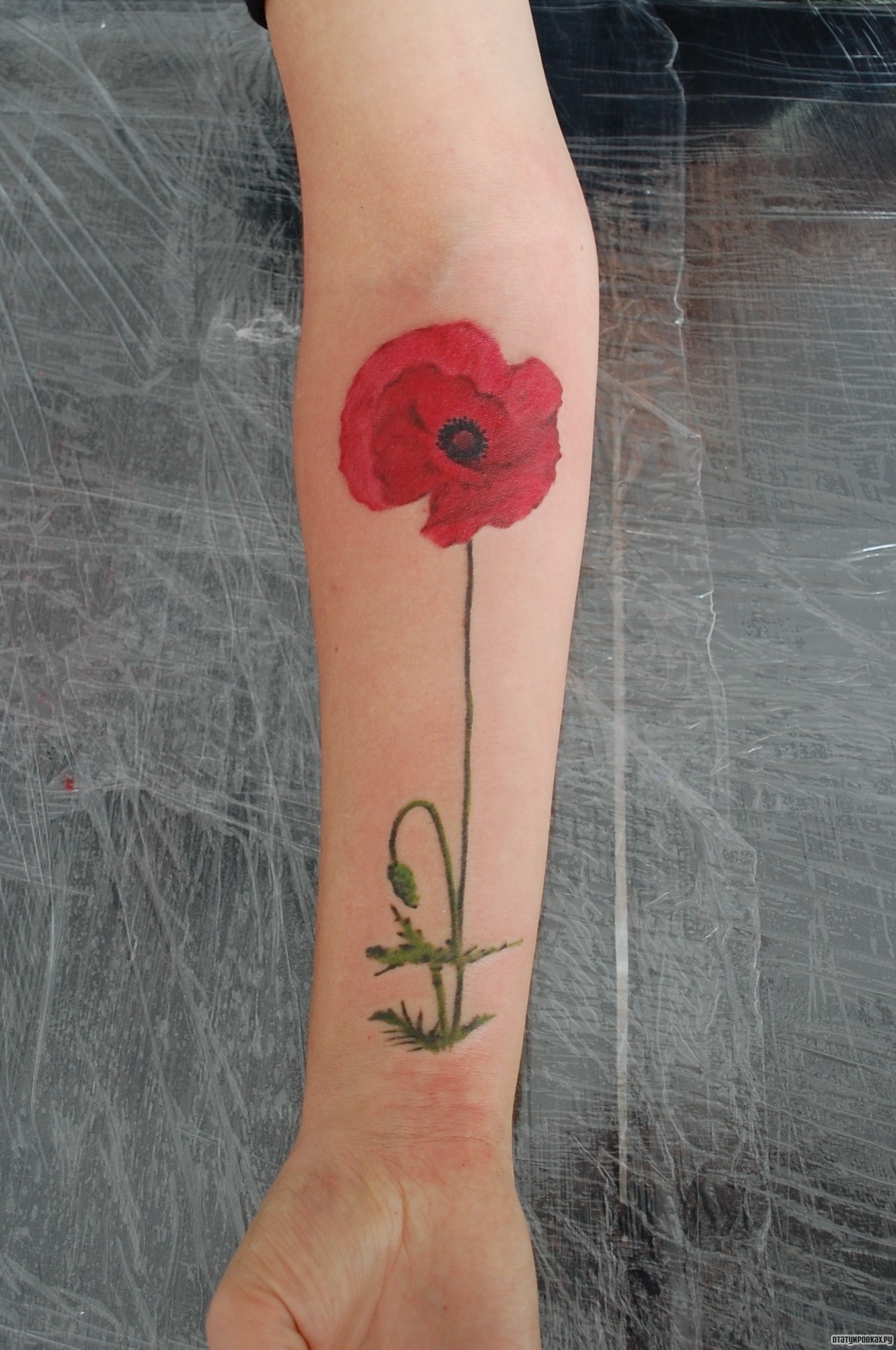 Фотография татуировки под названием «Цветок мака»