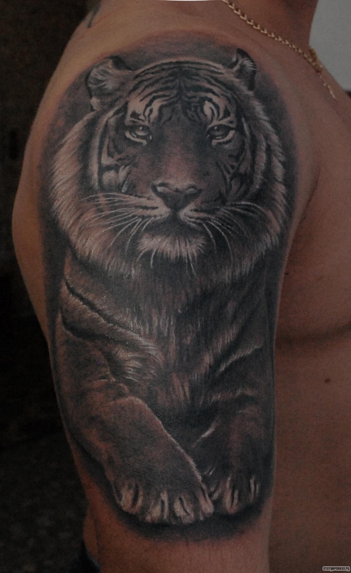 Фотография татуировки под названием «Тигр»