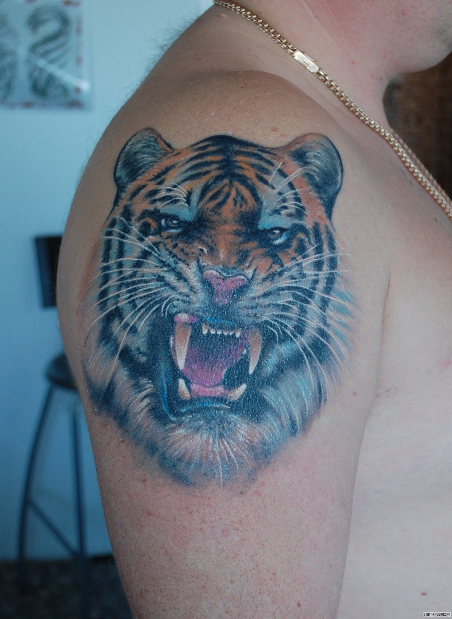 Фотография татуировки под названием «Тигр в цвете»