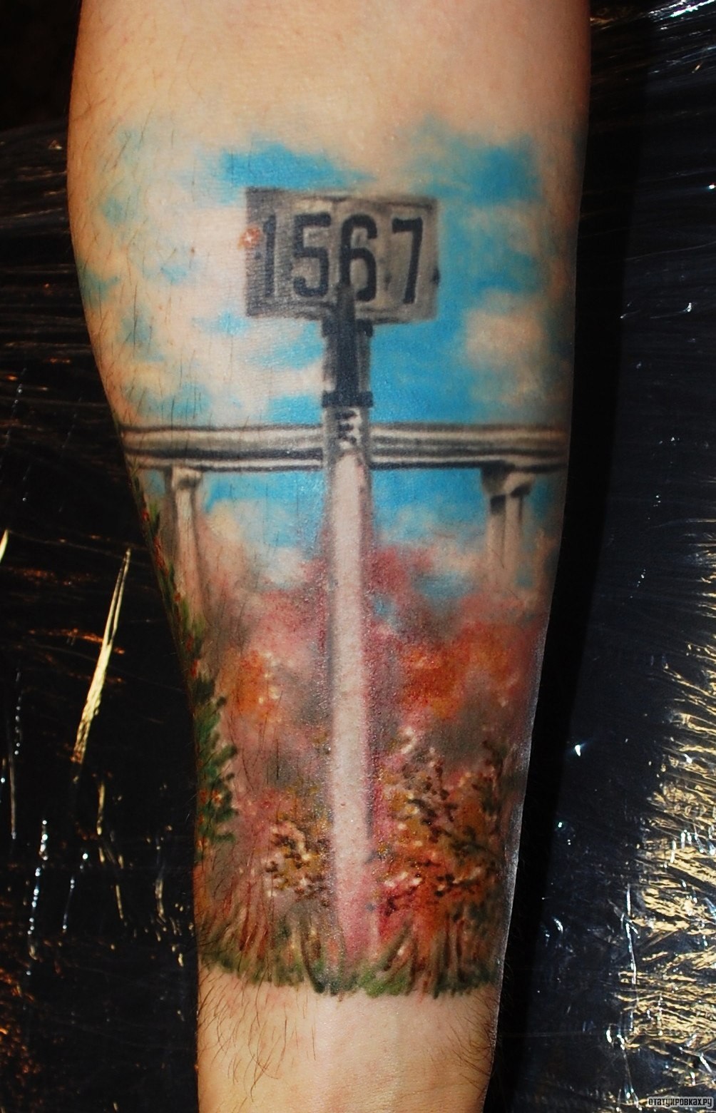 Фотография татуировки под названием «1567 надпись на столбике»
