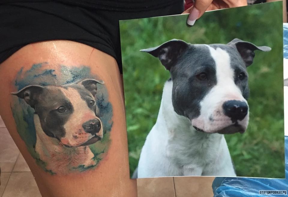 Фотография татуировки под названием «В память, собака»