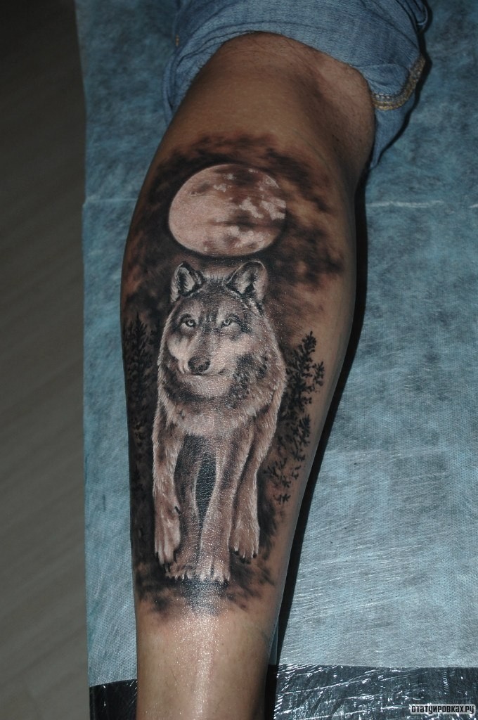 Фотография татуировки под названием «Волк на фоне луны»