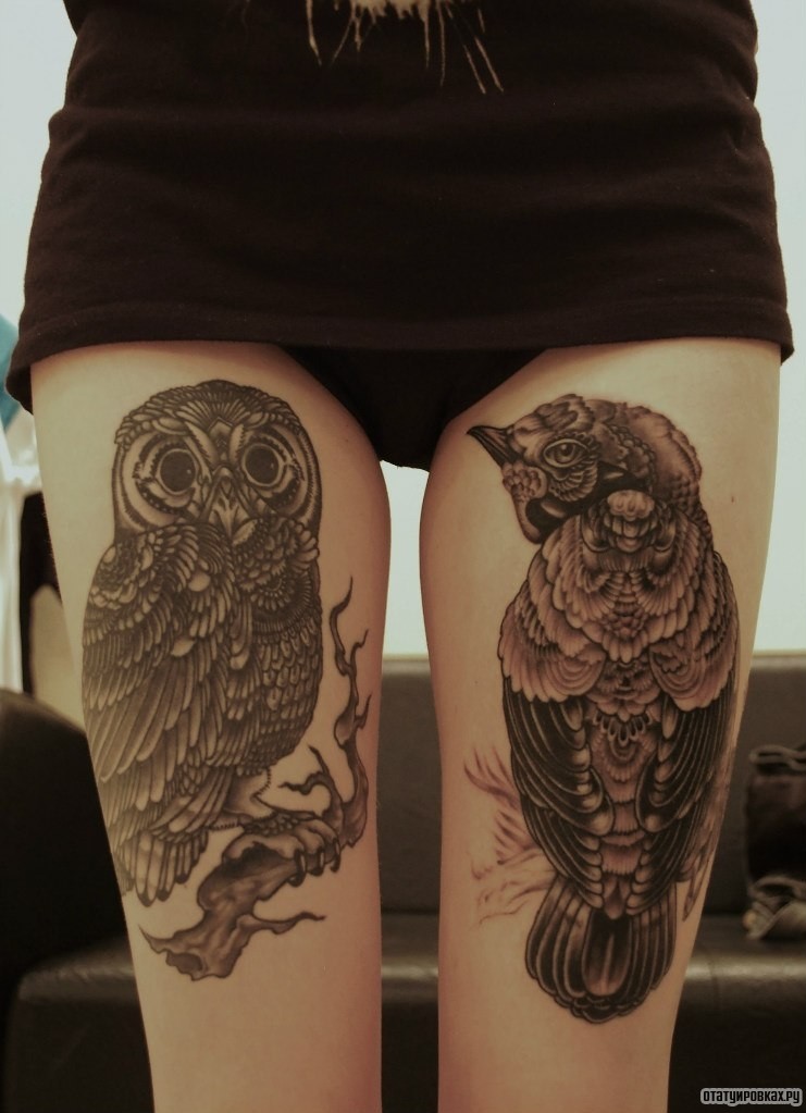 Фотография татуировки под названием «Сова на ветке и птица»