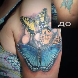 Бабочки  на плече (на руке)